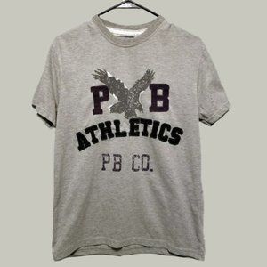 American Eagle Pacific Blue Mens Gray Shirt